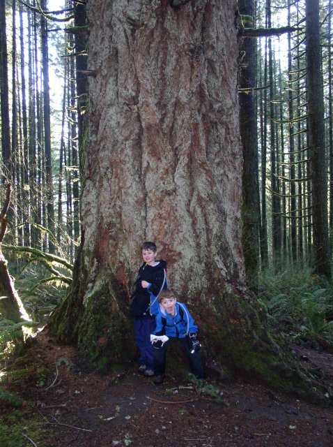 Silver Falls 12.10.05 080 
